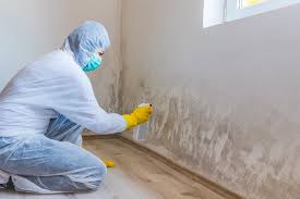 Best Crawl Space Mold Remediation  in Jamesport, NY