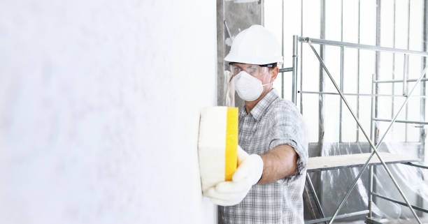 Professional Mold Removal & Remediation in Jamesport, NY